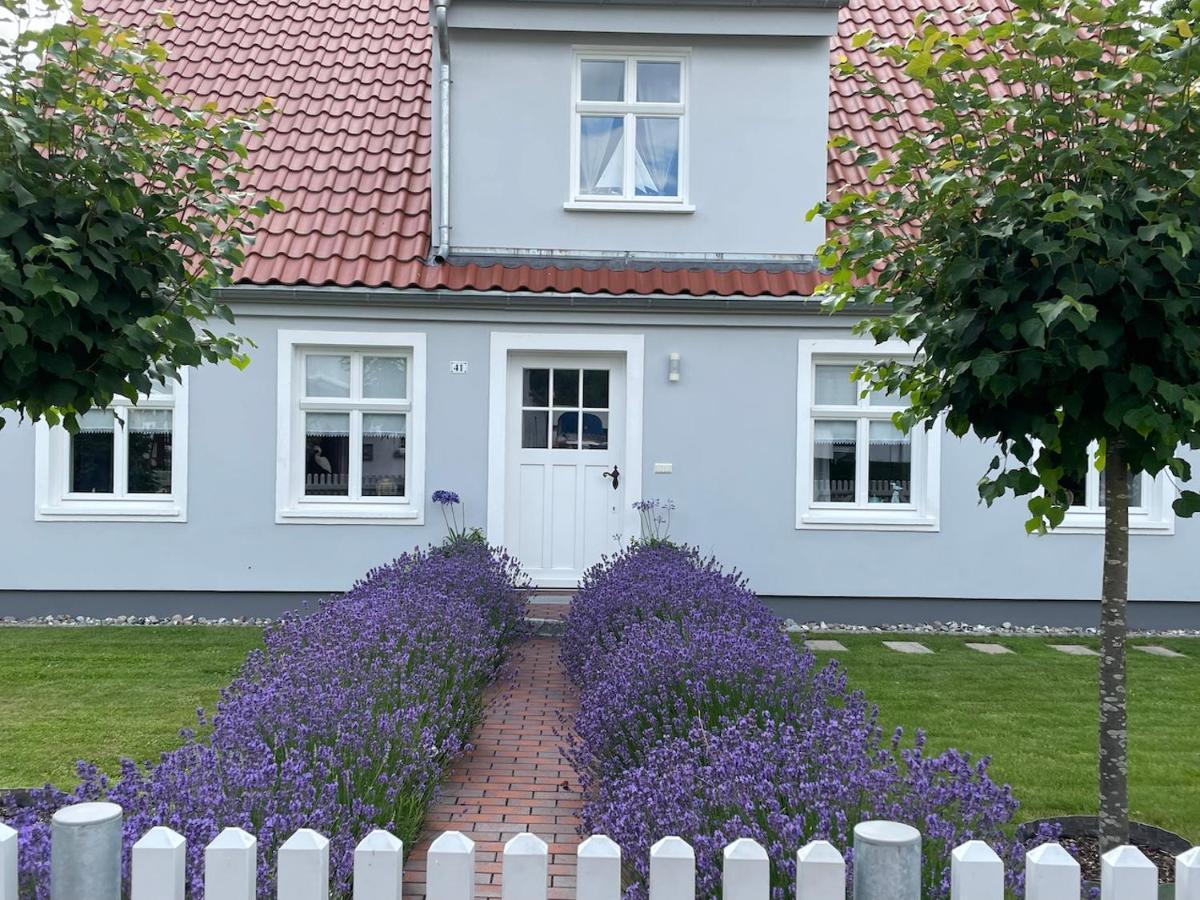 Apartmán Haus Vicus Greifswald Exteriér fotografie