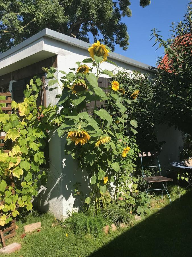 Apartmán Haus Vicus Greifswald Exteriér fotografie