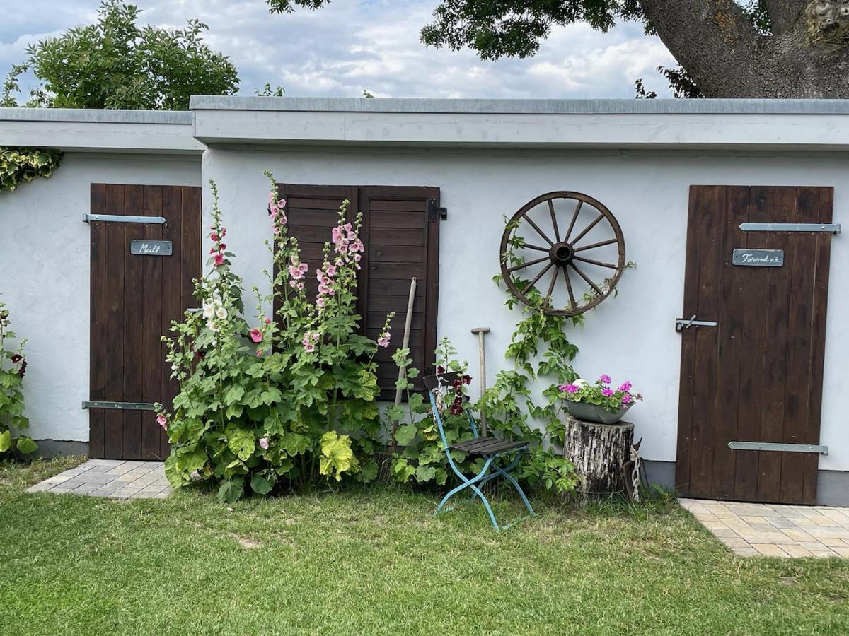 Apartmán Haus Vicus Greifswald Exteriér fotografie